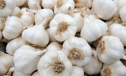 Garlic (Lassone)